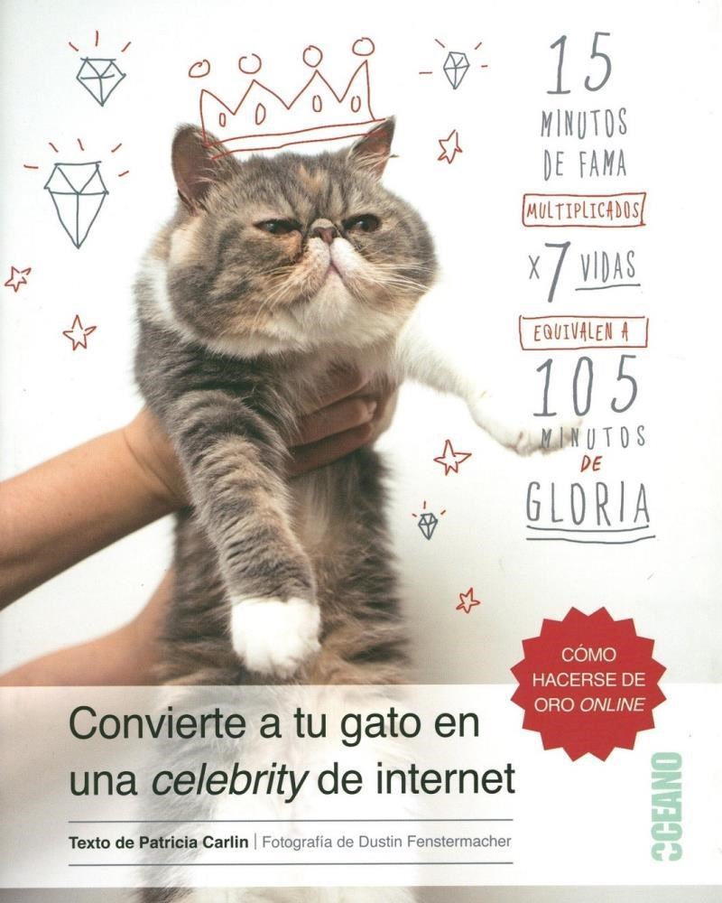 Papel Convierte A Tu Gato En Una Celebrity De Internet