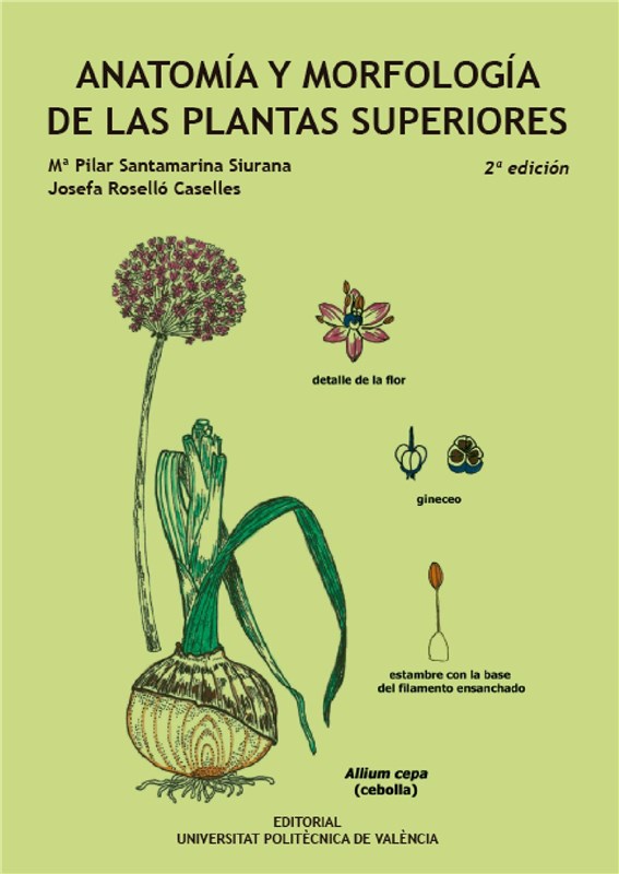 E-book Anatomía Y Morfología De Las Plantas Superiores