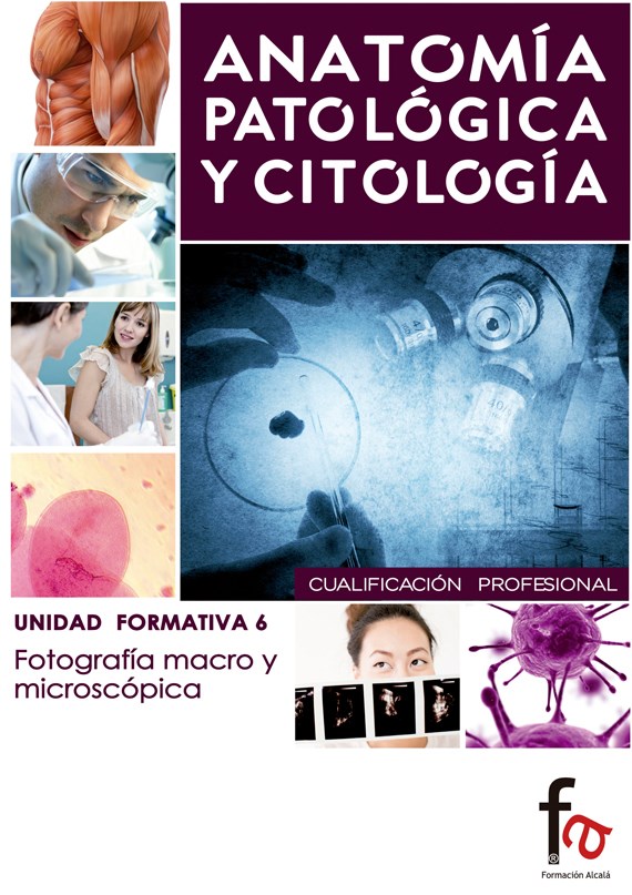 Papel Anatomia Patologica Y Citologia 6