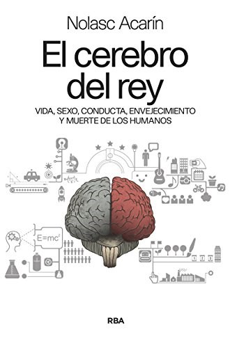 Papel El Cerebro Del Rey
