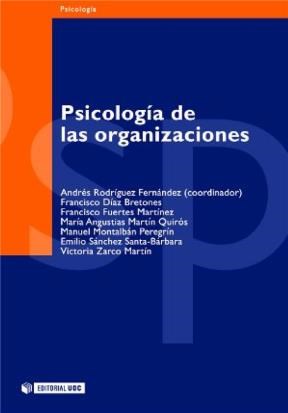 E-book Psicología De Las Organizaciones