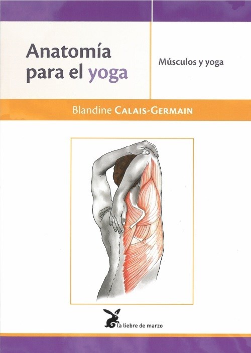 Papel Anatomia Para El Yoga