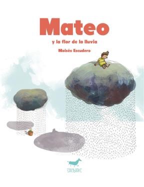 E-book Mateo Y La Flor De La Lluvia