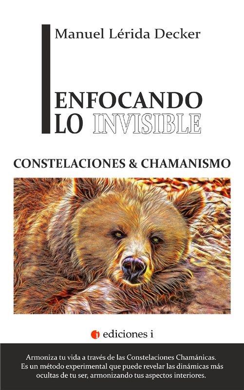 E-book Enfocando Lo Invisible