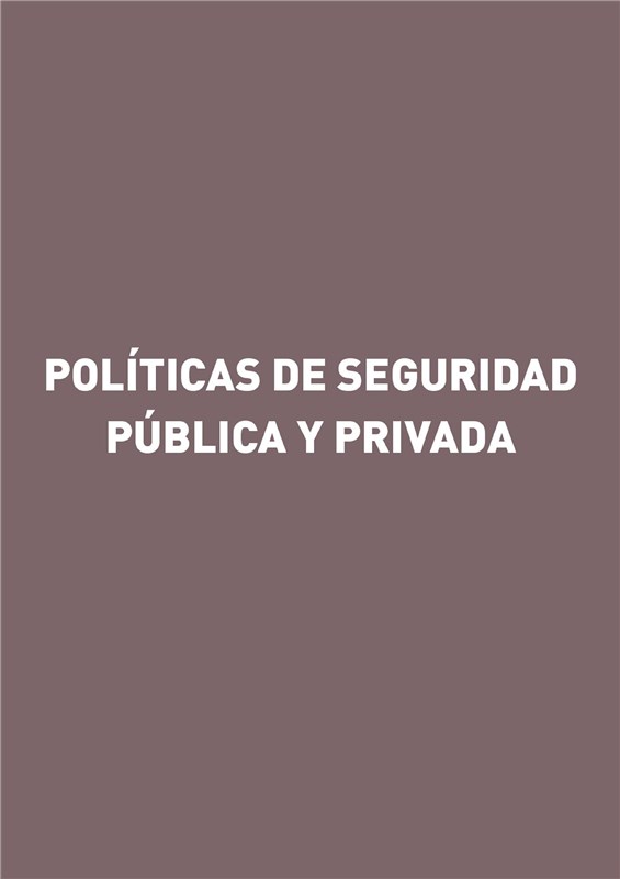 E-book Políticas De Seguridad Pública Y Privada