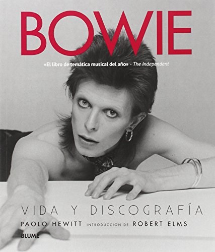 Papel Bowie Vida Y Discografia