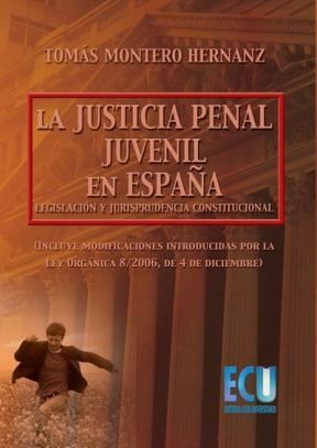 E-book La Justicia Penal Juvenil En España: Legislación Y Jurisprudencia Constitucional