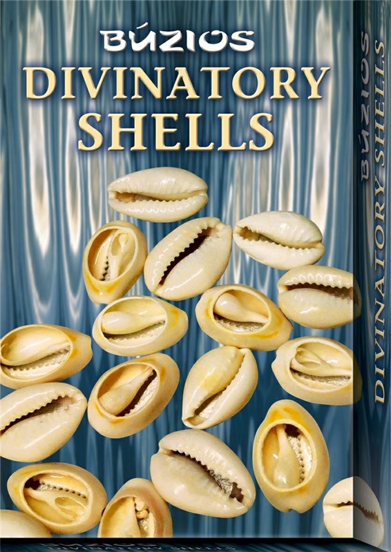 Papel Divinatory Shells Buzios ( Libro + Conchas )