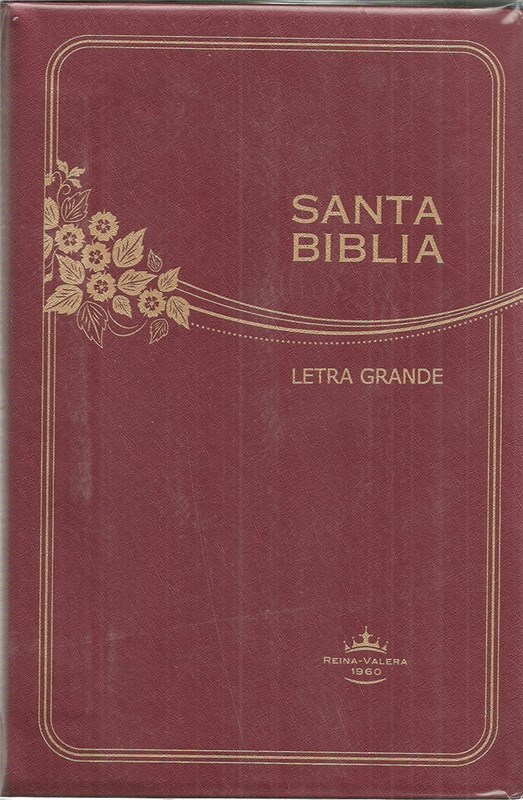 Papel Santa Biblia Letra Grande Bordo