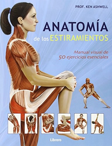 Papel Anatomia De Los Estiramientos