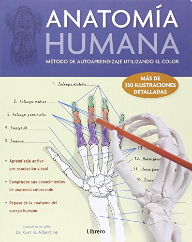 Papel Anatomia Humana