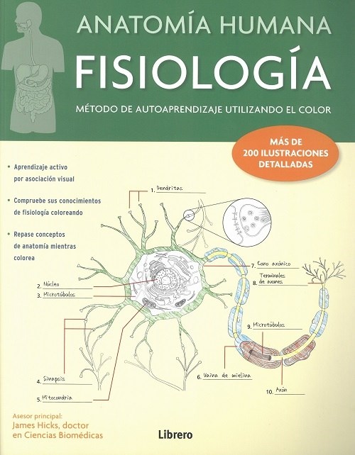 Papel Anatomia Humana Fisiologia