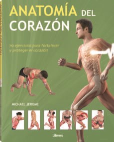 Papel Anatomia Del Corazon