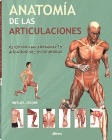 Papel Anatomia De Las Articulaciones