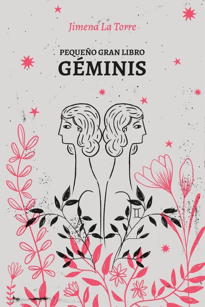 Papel Pequeño Gran Libro: Geminis