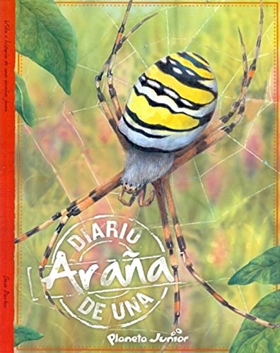 Papel Diario De Una Araña