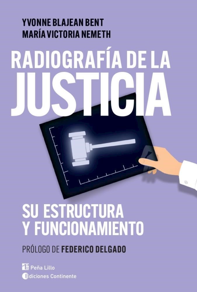 Papel Radiografia De La Justicia . Su Estructura Y Funcionamiento