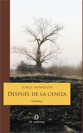 E-book Después De La Ceniza