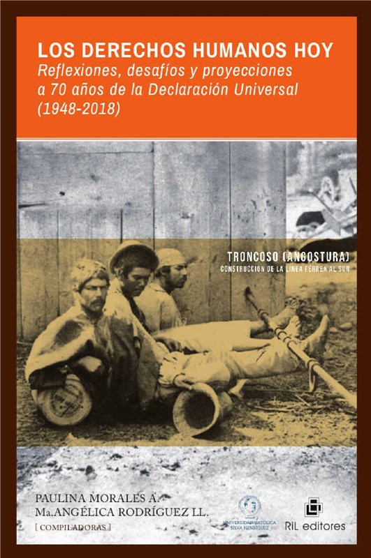 E-book Los Derechos Humanos Hoy: Reflexiones, Desafíos Y Proyecciones A 70 Años De La Declaración Universal (1948-2018)