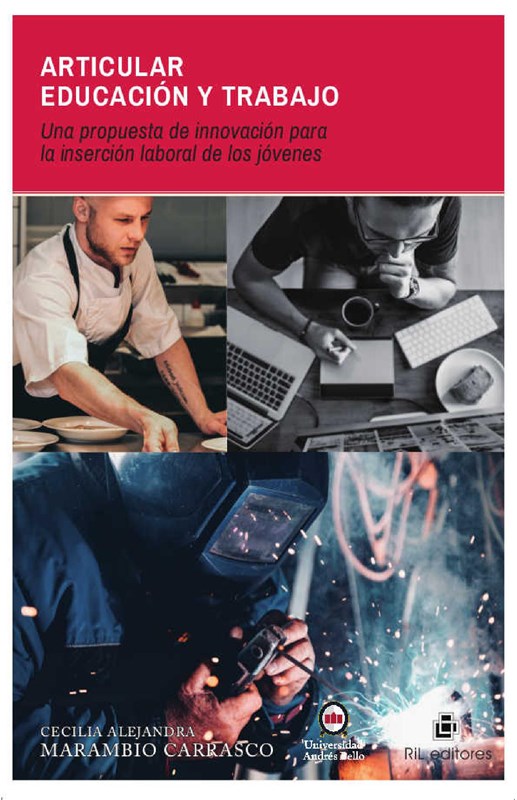 E-book Articular Educación Y Trabajo: Una Propuesta De Innovación Para La Inserción Laboral De Los Jóvenes