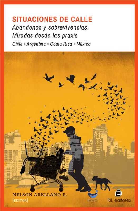 E-book Situaciones De Calle: Abandonos Y Sobrevivencias. Miradas Desde Las Praxis. Chile - Argentina - Costa Rica - México