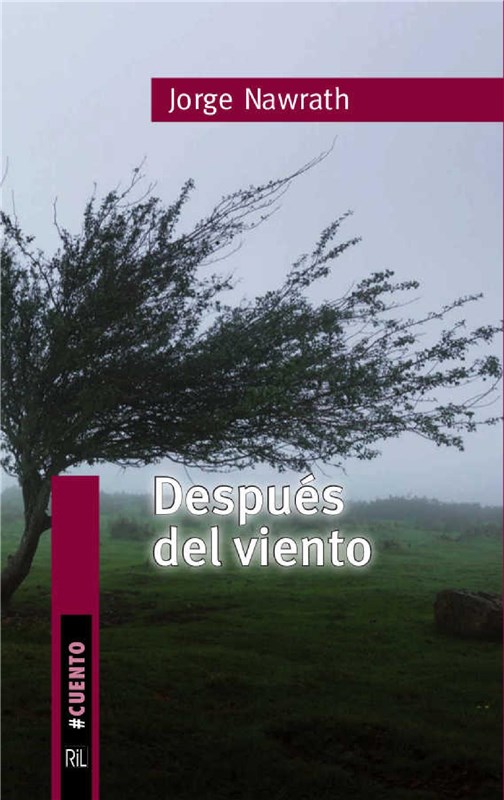 E-book Después Del Viento