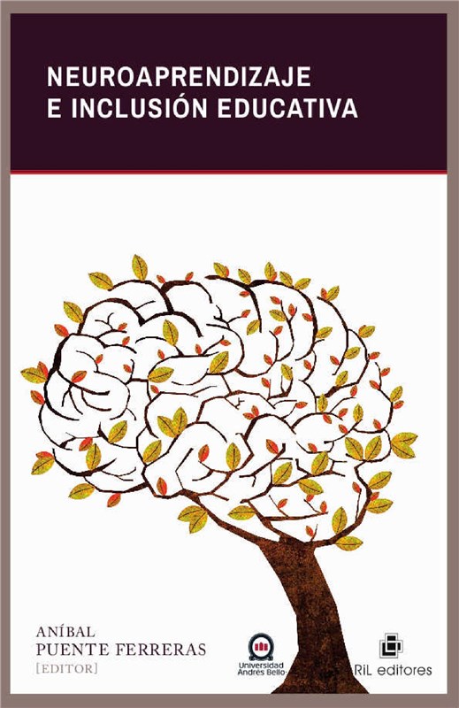 E-book Neuroaprendizaje E Inclusión Educativa