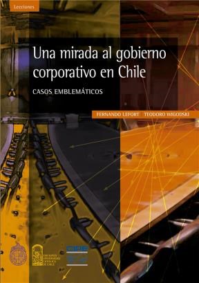 E-book Una Mirada Al Gobierno Corporativo En Chile