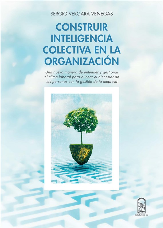 E-book Construir Inteligencia Colectiva En La Organización