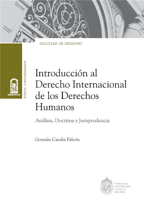 E-book Introducción Al Derecho Internacional De Los Derechos Humanos