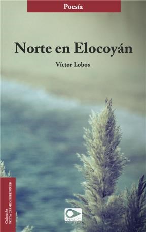 E-book Norte En Elocoyán