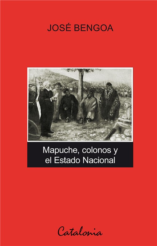 E-book Mapuche, Colonos Y El Estado Nacional