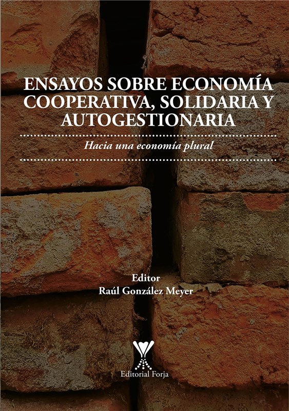 E-book Ensayos Sobre Economía Cooperativa, Solidaria Y Autogestionaria