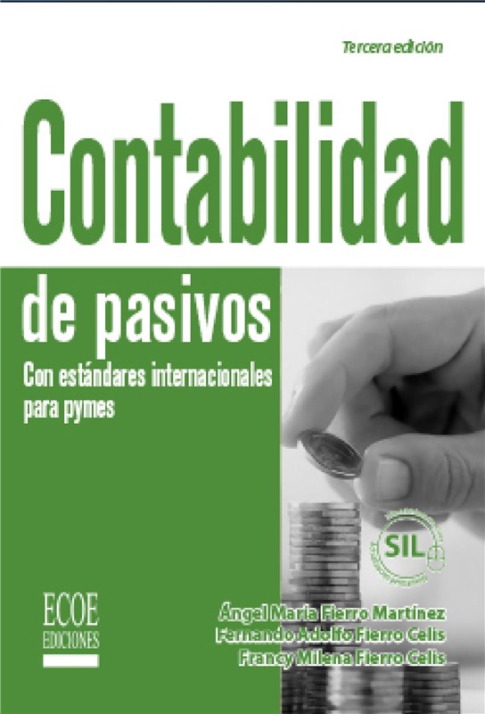 E-book Contablidad De Pasivos Con Estándares Internacionales Por Pymes