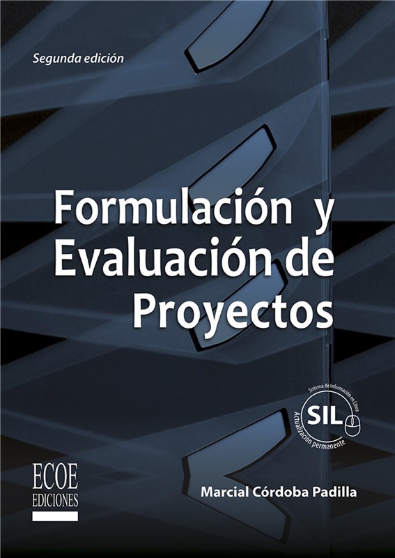 E-book Formulación Y Evaluación De Proyectos