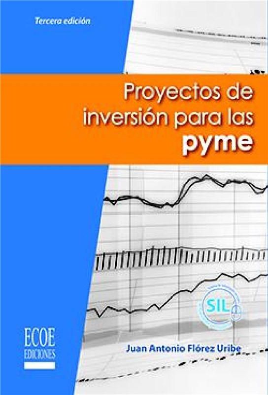E-book Proyectos De Inversión Para Las Pyme