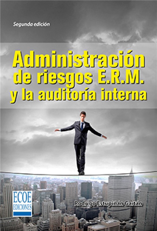 E-book Administración De Riesgos E.R.M. Y La Auditoria Interna