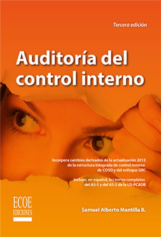 E-book Auditoría De Control Interno