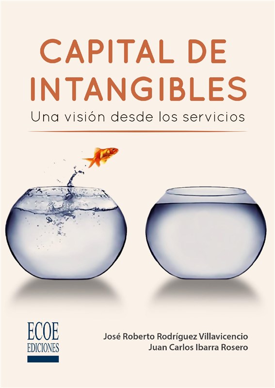 E-book Capital De Intangibles