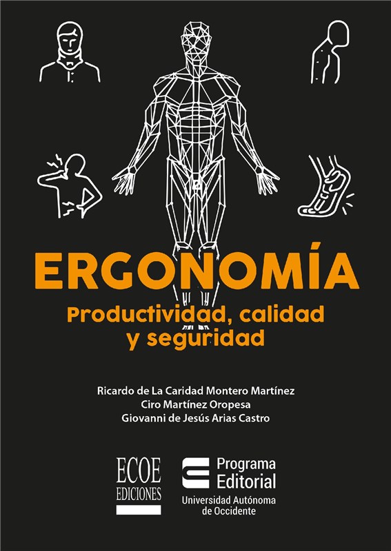 E-book Ergonomía: Productividad, Calidad Y Seguridad