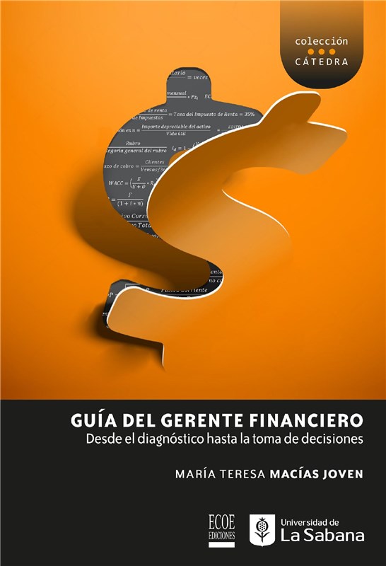 E-book Guía Del Gerente Financiero