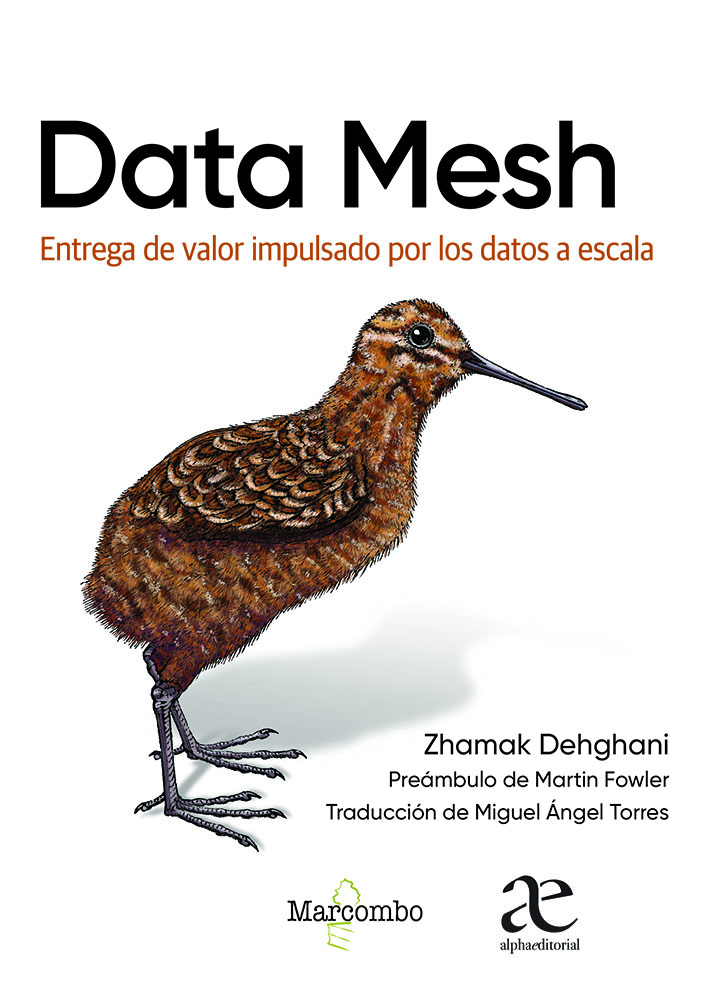 Papel Data Mesh
