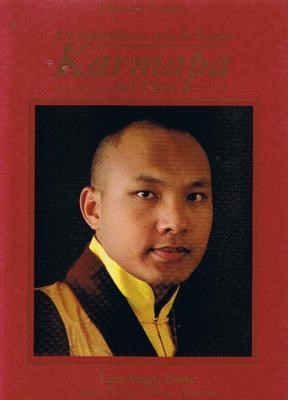 Papel Maravillosa Vida De Lama Karmapa Del Tibet, La