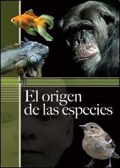 Papel Origen De Las Especies, El