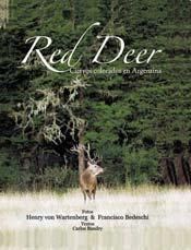 Papel Red Deer Ciervos Colorados En Argentina
