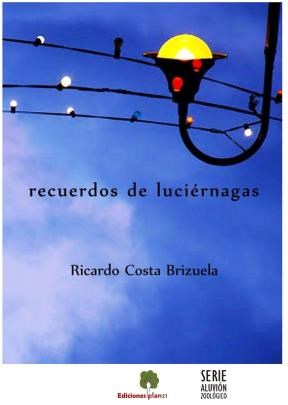 E-book Recuerdos De Luciérnagas