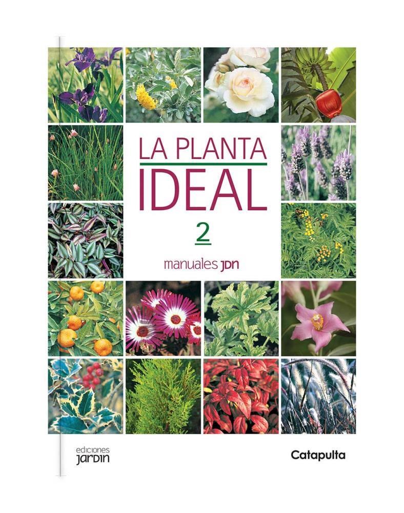Papel Planta Ideal 2, La