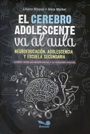 Papel Cerebro Adolescente Va Al Aula, El