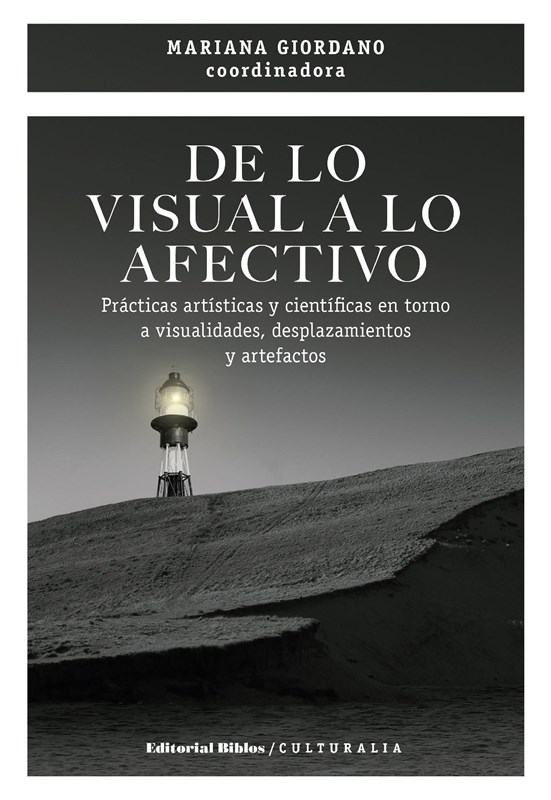 E-book De Lo Visual A Lo Afectivo