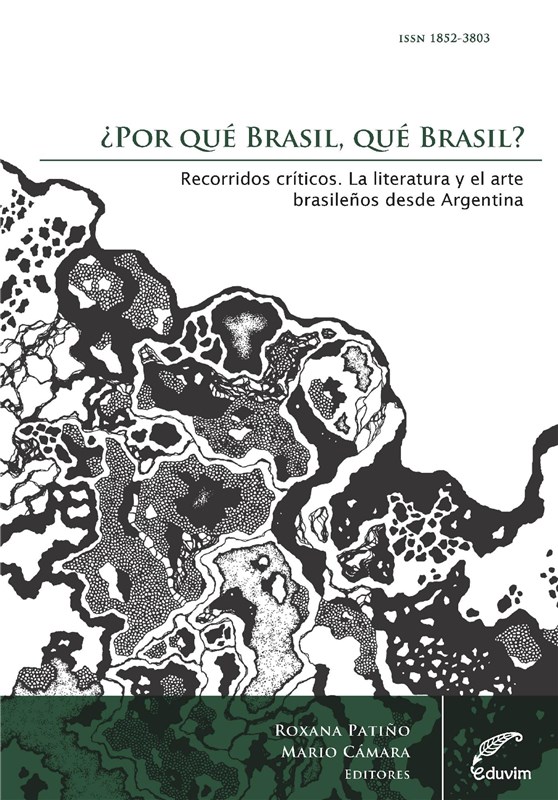 E-book ¿Por Qué Brasil, Qué Brasil? Recorridos Críticos